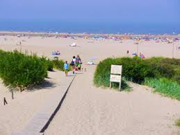 strand Vrouwenpolder